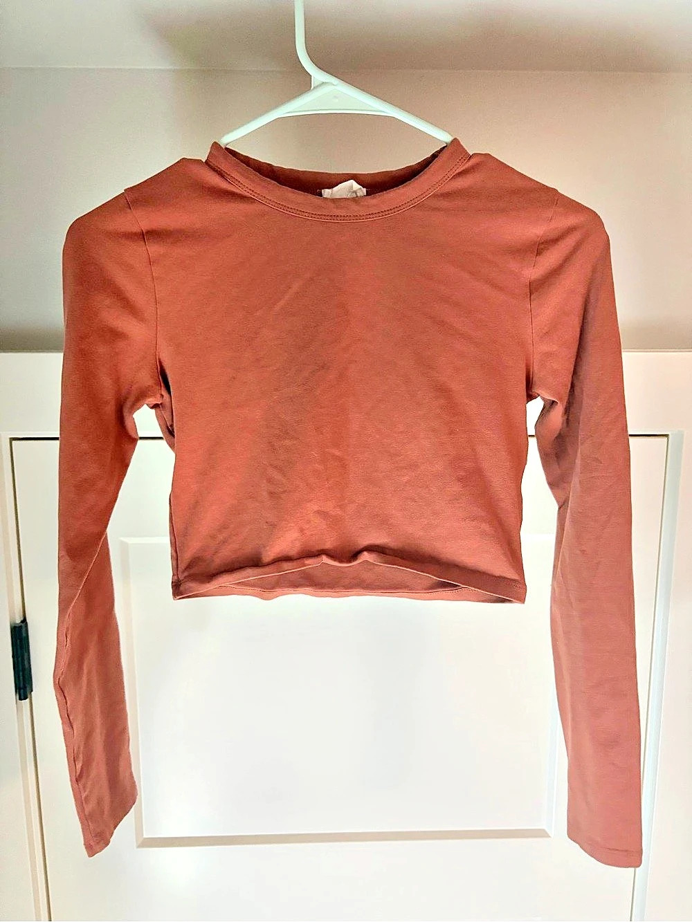 Long Sleeve Cropped Top in Brown Size Small